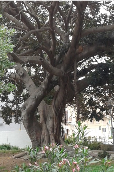sicilia agrigento licata sicilia agrigento licata