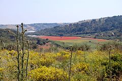 sicilia caltanissetta sicilia caltanissetta