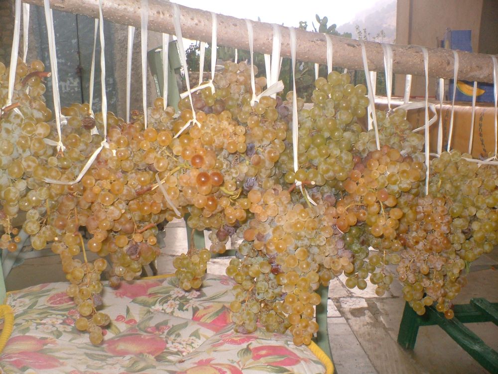 sicilia enna sicilia enna