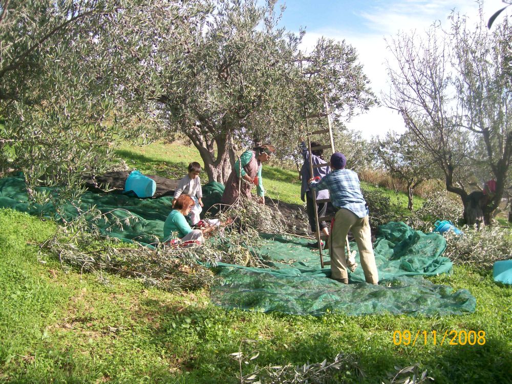 sicilia enna sicilia enna